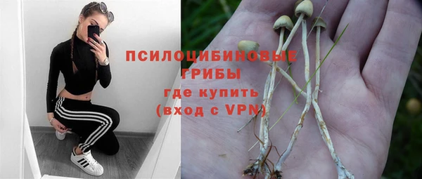 марки nbome Каменка