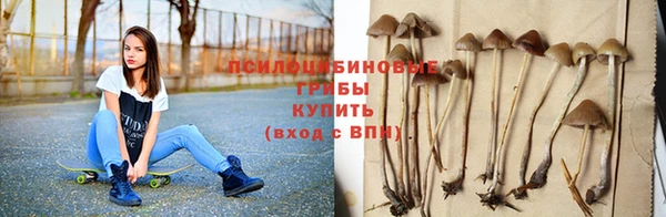 ешки Каменск-Шахтинский