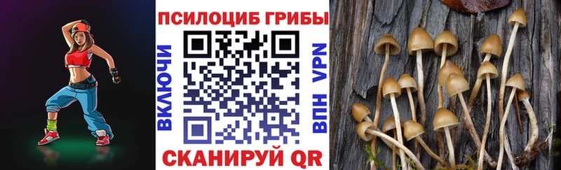 где продают наркотики  Санкт-Петербург  Галлюциногенные грибы мицелий 