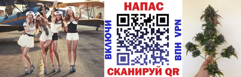 Бошки Шишки сатива  Санкт-Петербург 